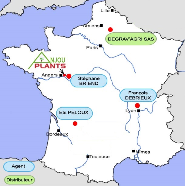 Le rseau de distributeurs et d'agents d'Anjou Plants - situs dans les rgions de production de fraises - sur toute la france