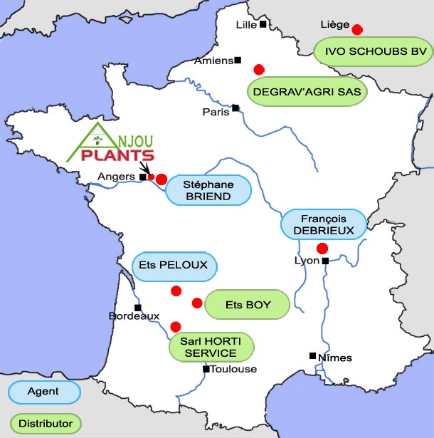 Le rseau de distributeurs et d'agents d'Anjou Plants - situs dans les rgions de production de fraises - sur toute la france