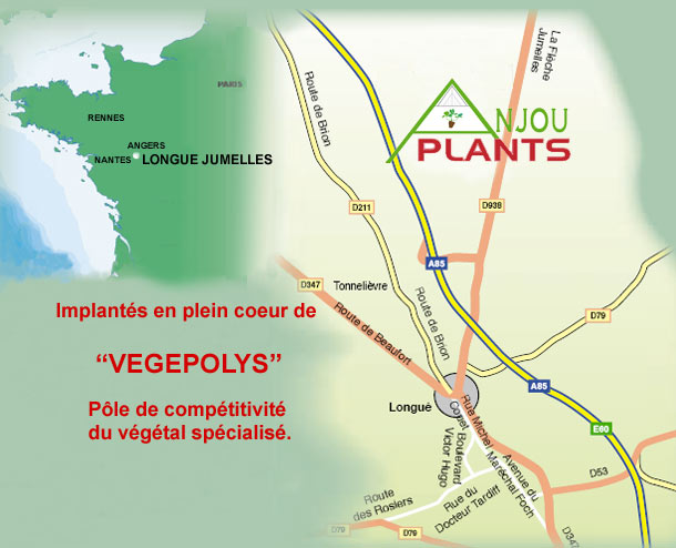 ANJOU PLANTS - La Ferrière - 504 route des plants - 49160 LONGUE JUMELLES.