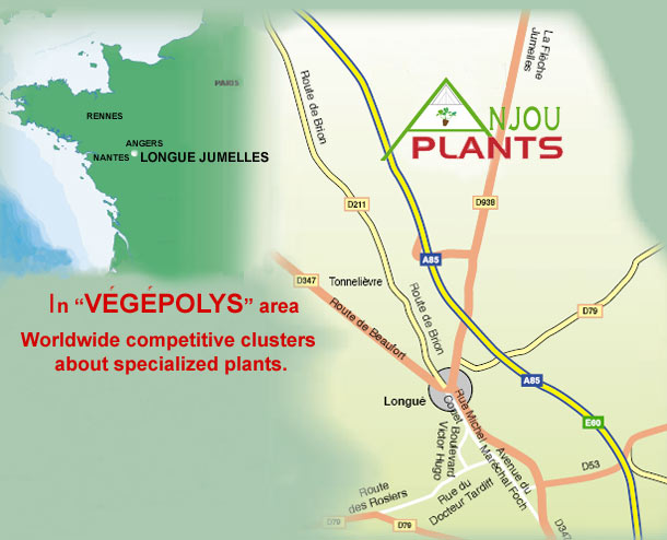 Access plan